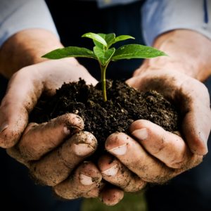GivingGrow GivingGrow