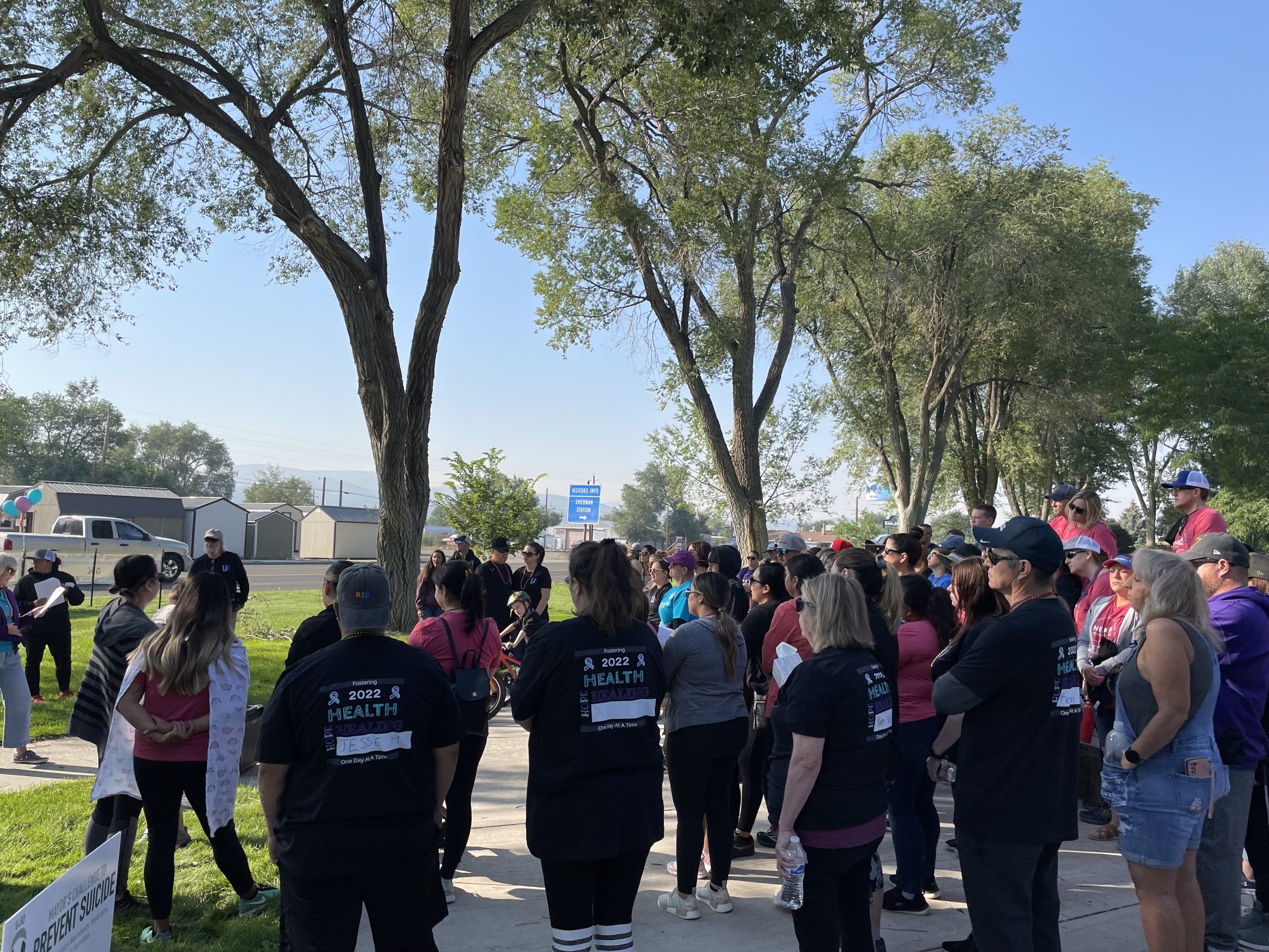 Zero Suicides Walk Elko County